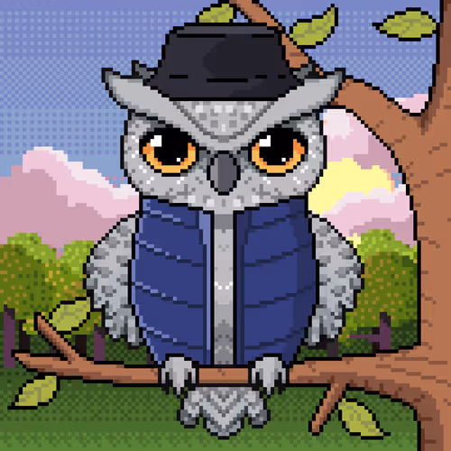 Night Owls #122