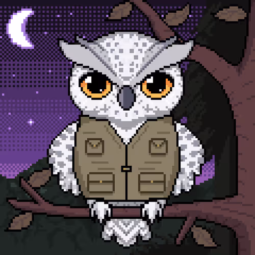 Night Owls Official