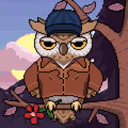 Night Owls #1876