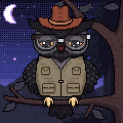 Night Owls #291