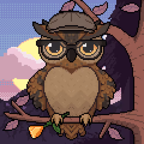 Night Owls Official