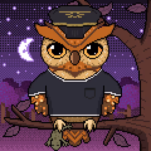Night Owls Official