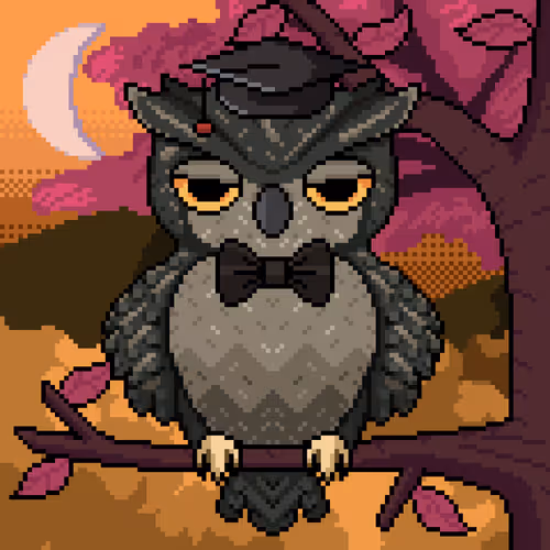 Night Owls Official