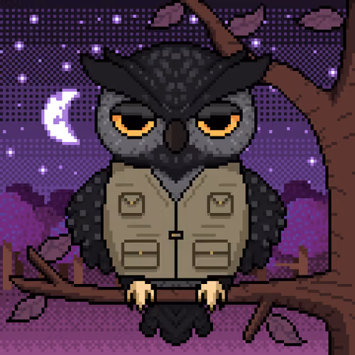 Night Owls #2135