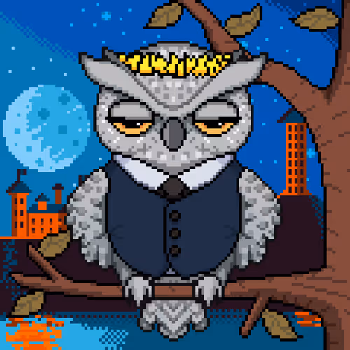 Night Owls Official