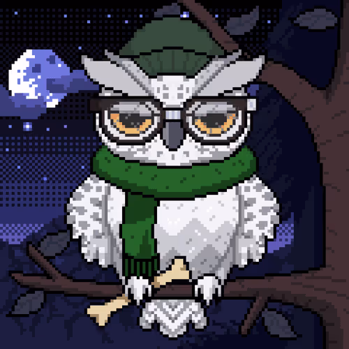 Night Owls Official