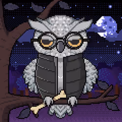 Night Owls #1330