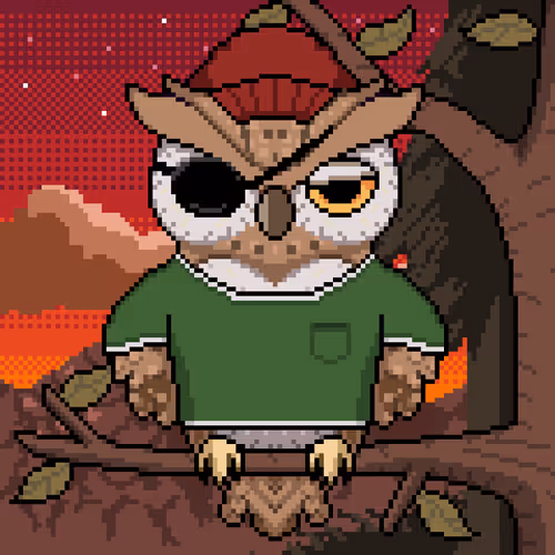 Night Owls Official