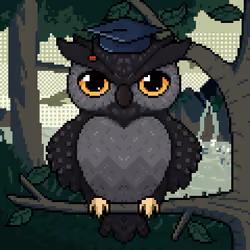 Night Owls #1042