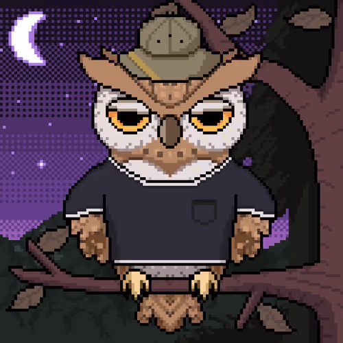 Night Owls #566