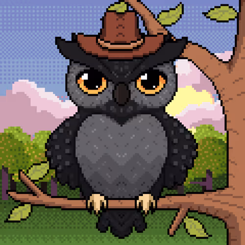 Night Owls Official