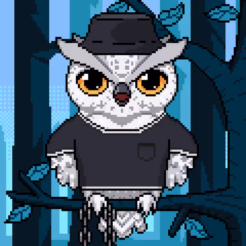 Night Owls Official