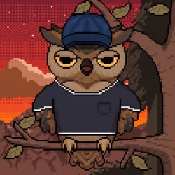 Night Owls #2326