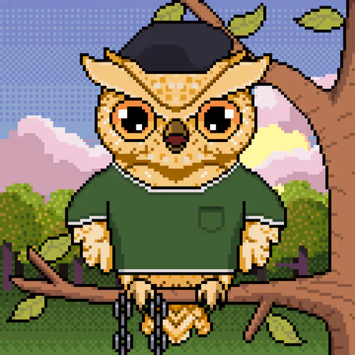 Night Owls Official
