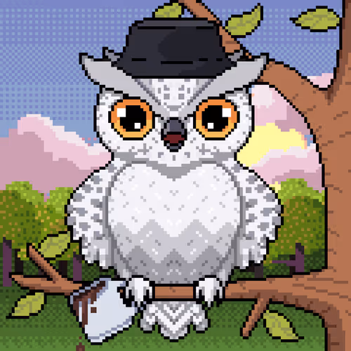 Night Owls Official
