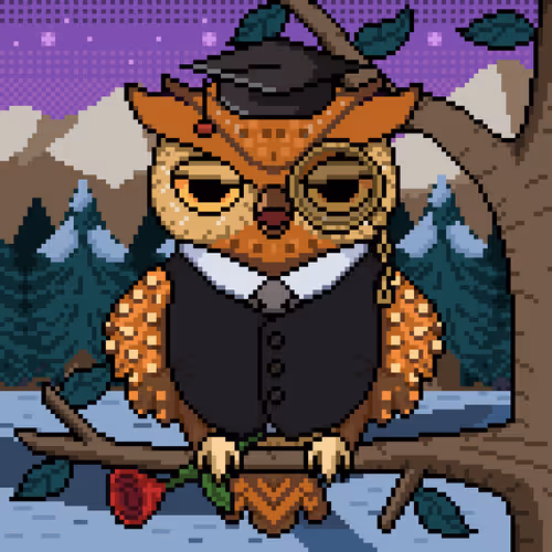 Night Owls Official