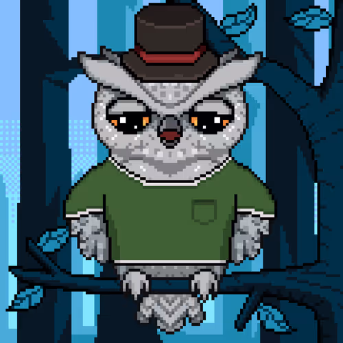Night Owls Official