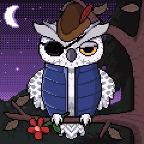 Night Owls Official