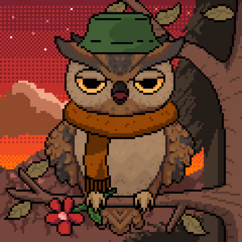 Night Owls Official