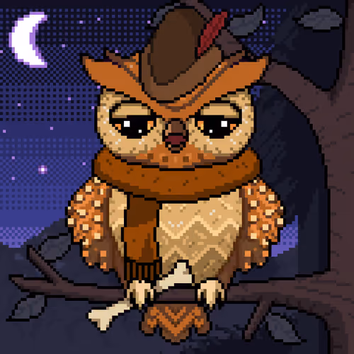 Night Owls #591