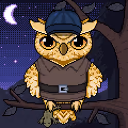 Night Owls #625
