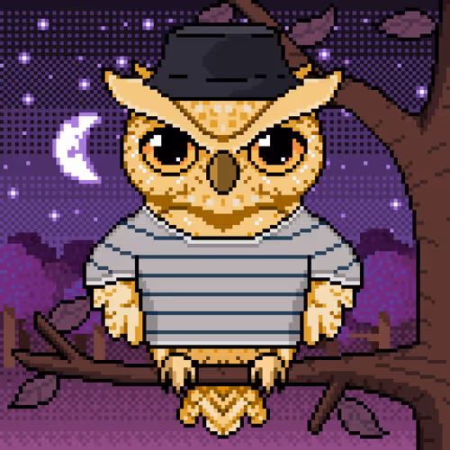 Night Owls Official