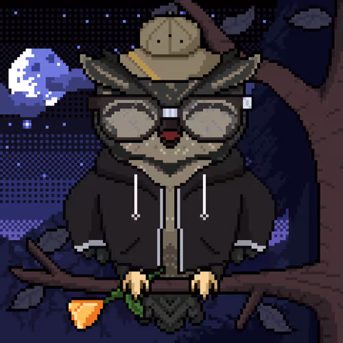 Night Owls Official