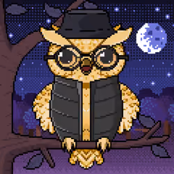 Night Owls #786