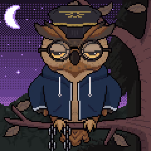 Night Owls #504