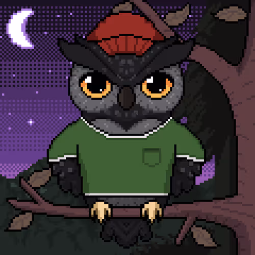 Night Owls Official