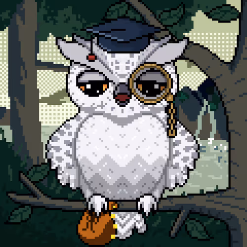 Night Owls Official