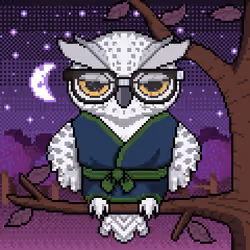Night Owls #2203