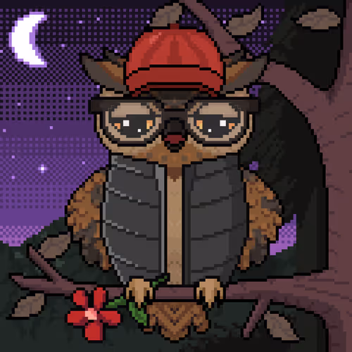 Night Owls Official