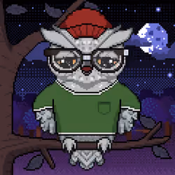 Night Owls #962