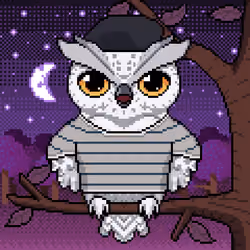 Night Owls #722