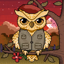 Night Owls #514
