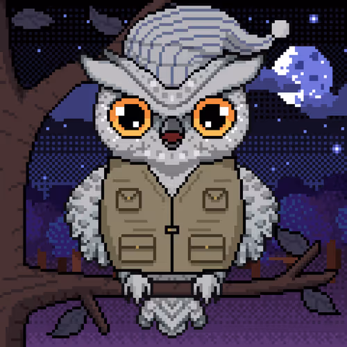 Night Owls Official