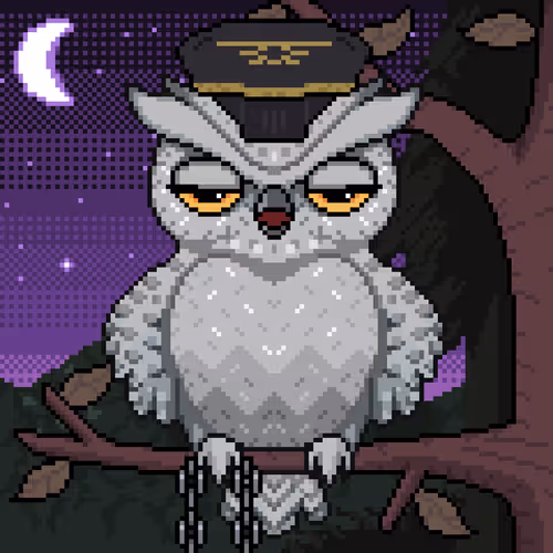 Night Owls Official