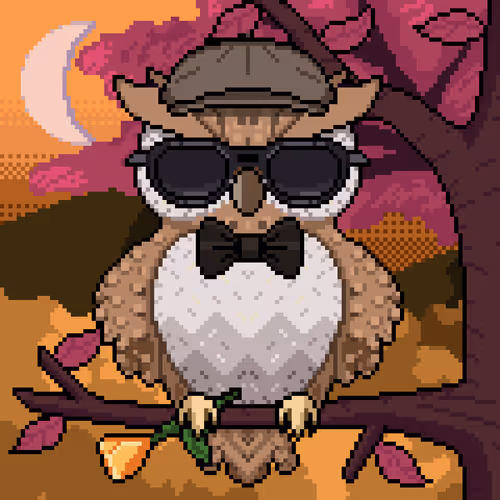 Night Owls Official