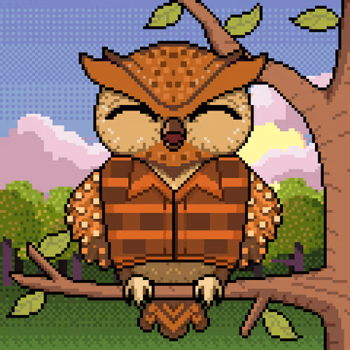 Night Owls Official