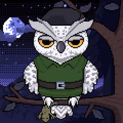 Night Owls #951