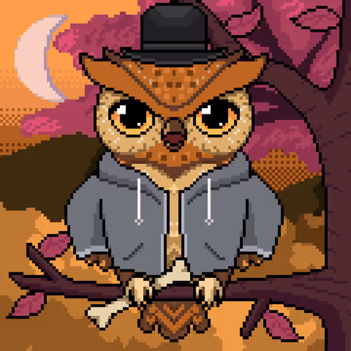 Night Owls Official