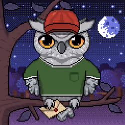 Night Owls #1712