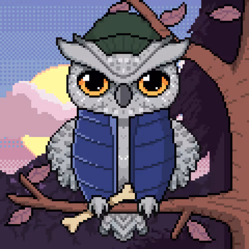 Night Owls Official
