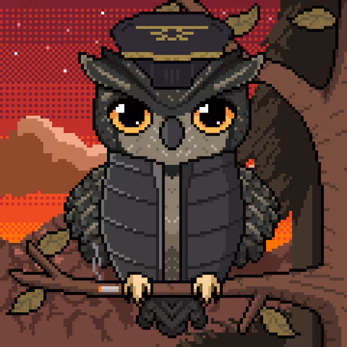 Night Owls Official