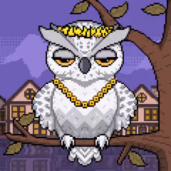 Night Owls #640