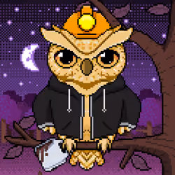 Night Owls #1794