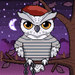 Night Owls #2045