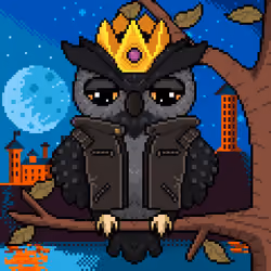 Night Owls #1589