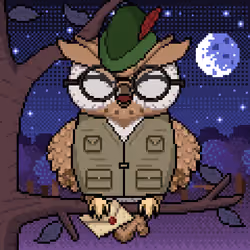 Night Owls #1661
